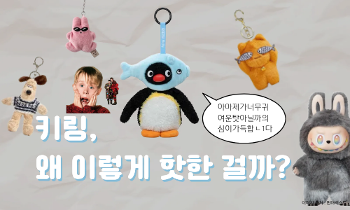오늘의 인사이트 썸네일